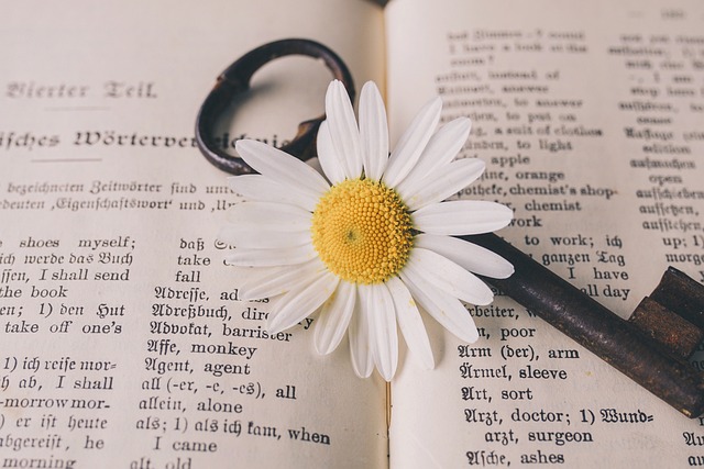 英語の本の上にある花と鍵