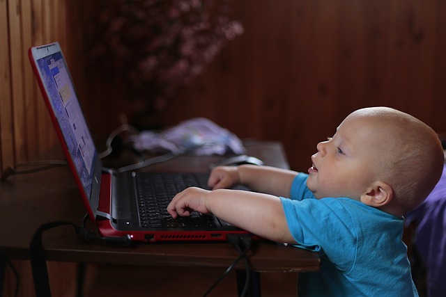 赤ちゃんがパソコンを見ている